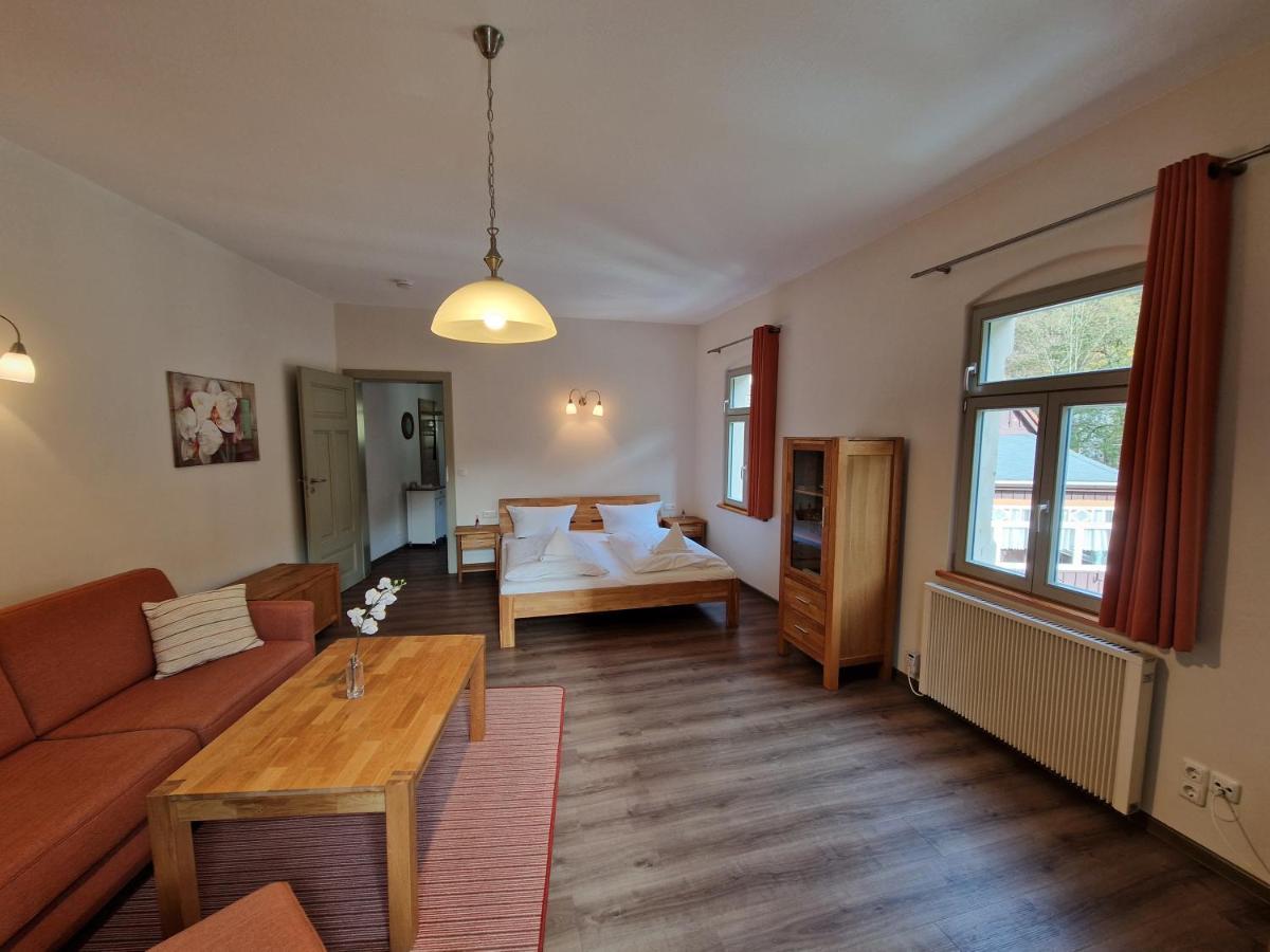 Villa Caggiati Bad Schandau Extérieur photo