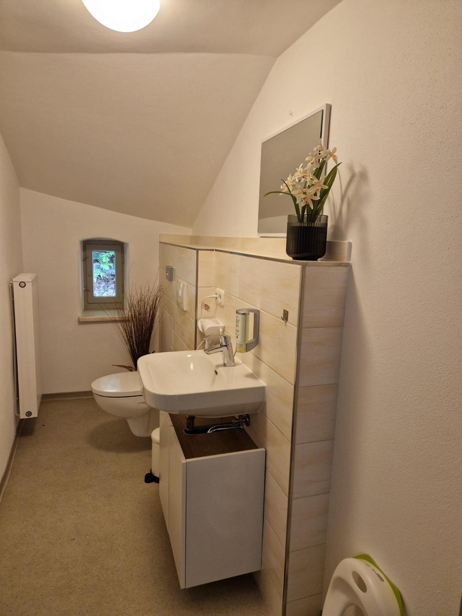 Villa Caggiati Bad Schandau Extérieur photo